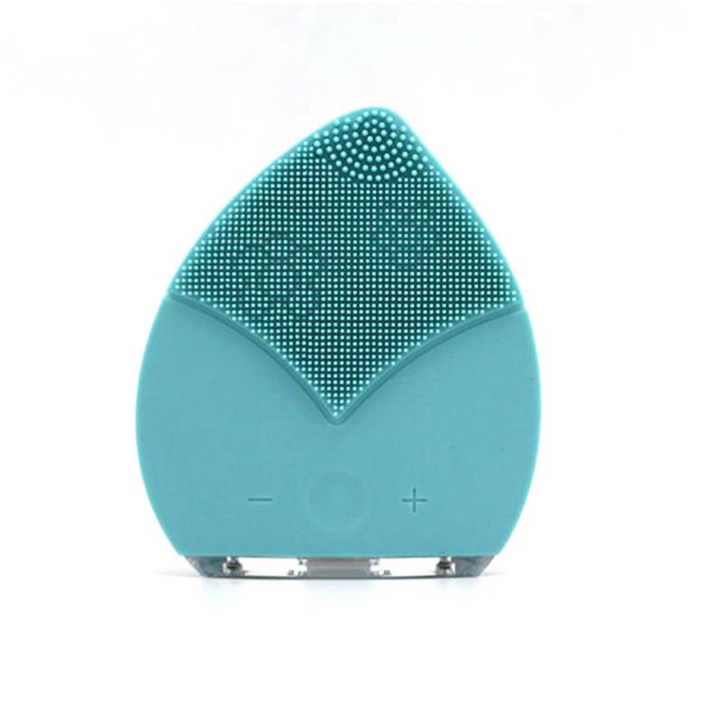 Beauty Massager and Vibration Facial Wash Brush